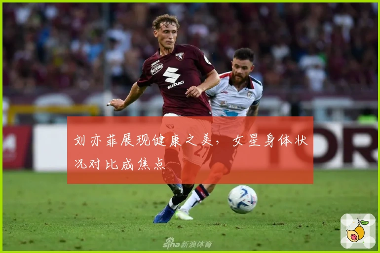 刘亦菲展现健康之美，女星身体状况对比成焦点